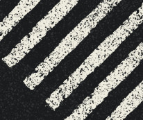 Fototapeta Young 159 - Zebra , Pasy , Pasy skośne , Czarno białe ,