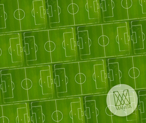 Fototapeta Young 171 - Boisko , Zielone , Pokój piłkarza , Ściana , Sport , Football , Piłka nożna