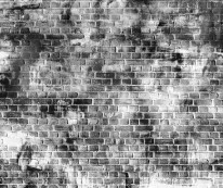 Fototapeta Young 241 - cegły, ściana, mur, graffiti