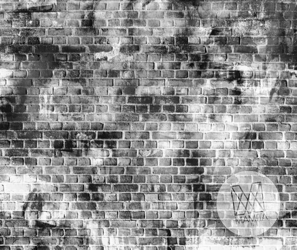 Fototapeta Young 241 - cegły, ściana, mur, graffiti