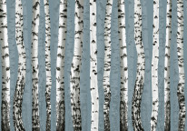 Fototapeta Junior 103 – brzózki, ryciny, drzew, niebieskie tło