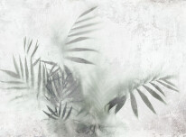 palm in fog