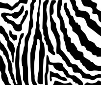 Fototapeta Salon 162 – Zebra , Safari , Czarno-białe , wzór