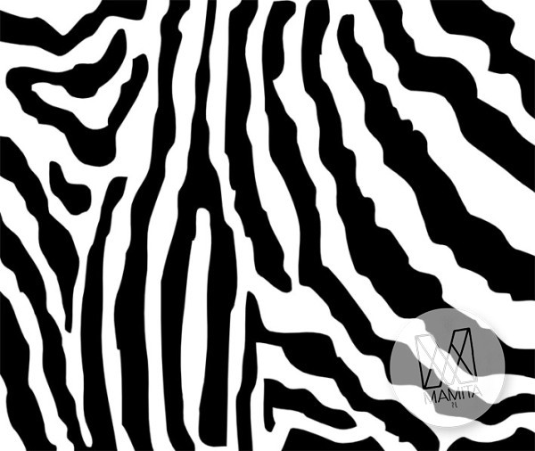 Fototapeta Salon 162 – Zebra , Safari , Czarno-białe , wzór