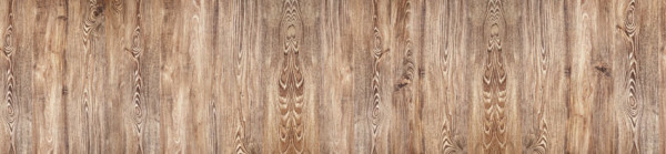 FOTOTAPETA Panorama kuchenna 38 - DREWNO , PŁYTA LAMINOWANA , SŁOJE , NATURALNE , LAS