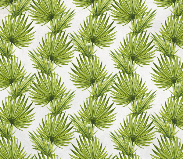 NOWOŚĆ 30- palma, wiosna, zielone liście, tropiki, tropical leaves, summertime, liście, jungle