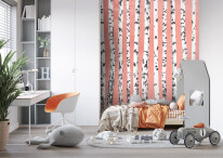 AdobeStock_20