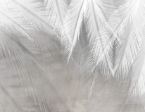 palm in fog