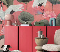 AdobeStock_244d