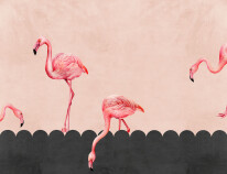 350_270__falbana_flamings_4